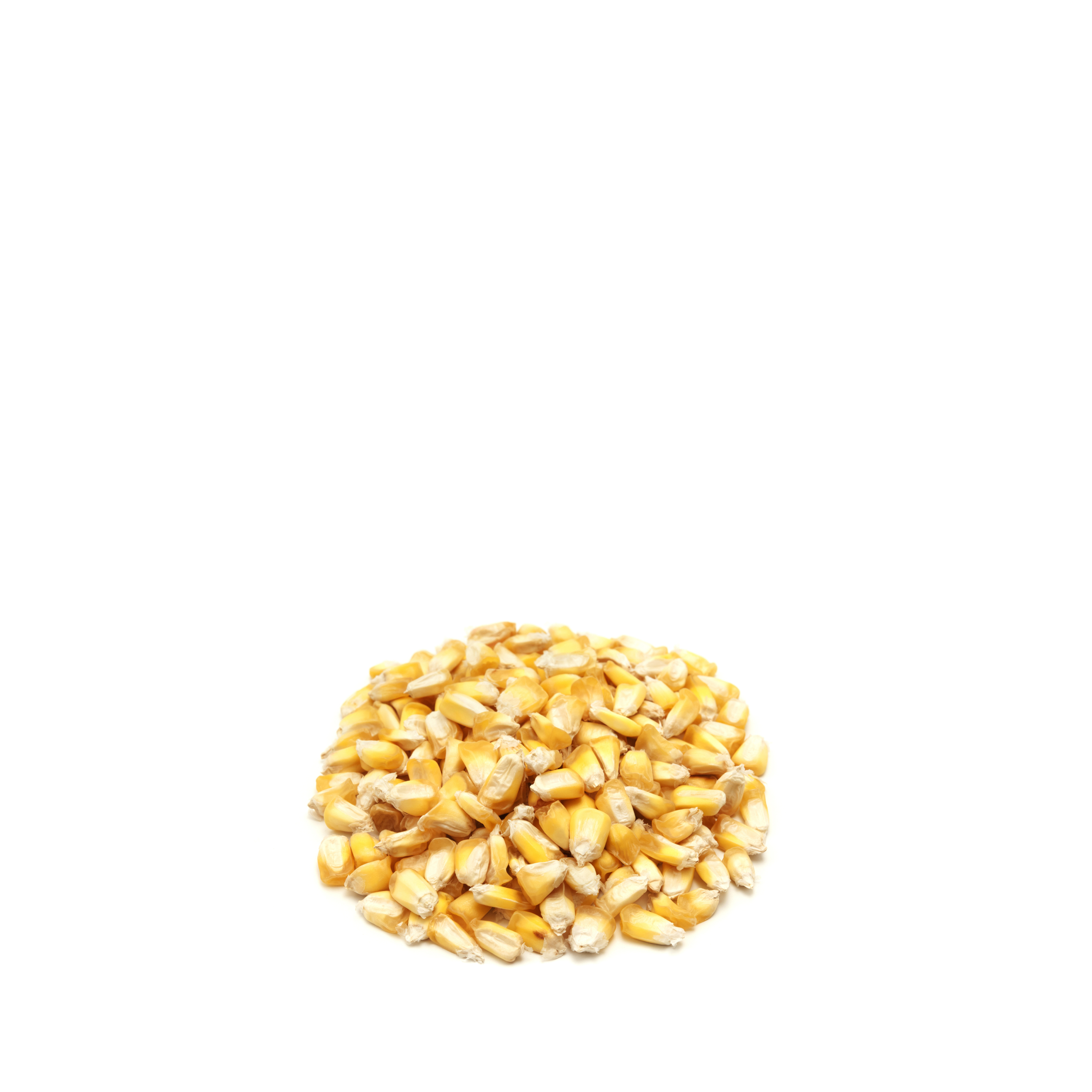 Maiz Cancha (Dried Corn Cancha)