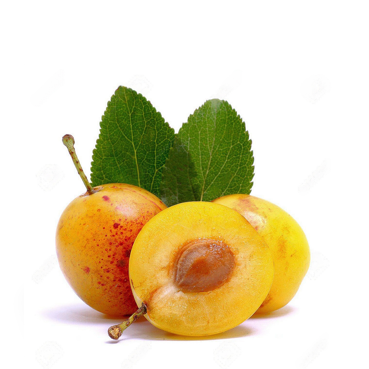 Mirabelle Plums from France