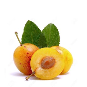 Mirabelle Plums from France