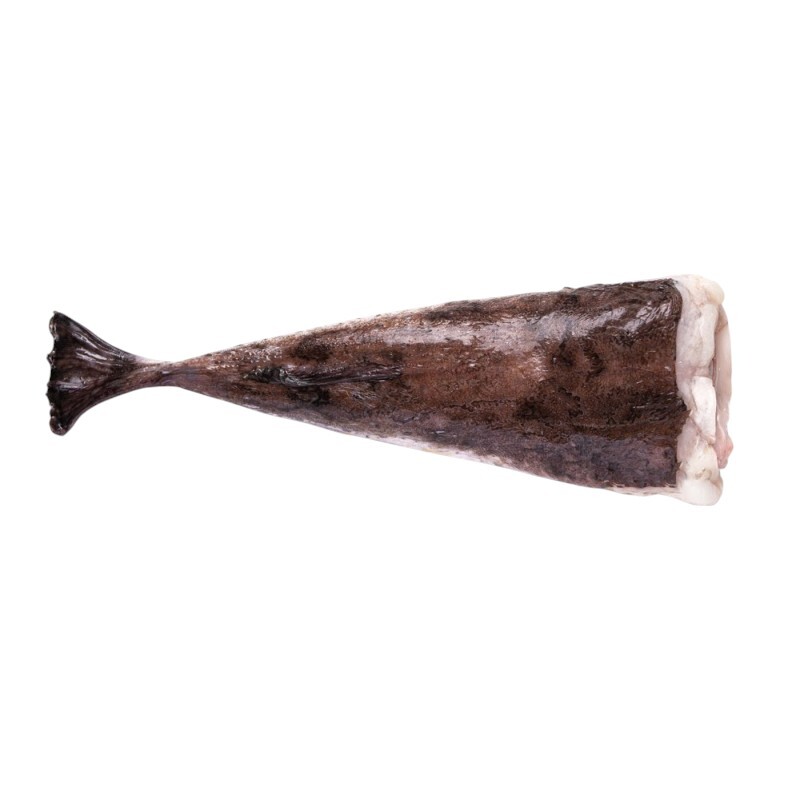 Monkfish Tail (Queue de Lotte)