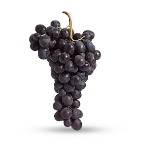 Muscat Grapes from Meffre, France