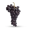 Thumbnail 1 - Muscat Grapes from Meffre, France