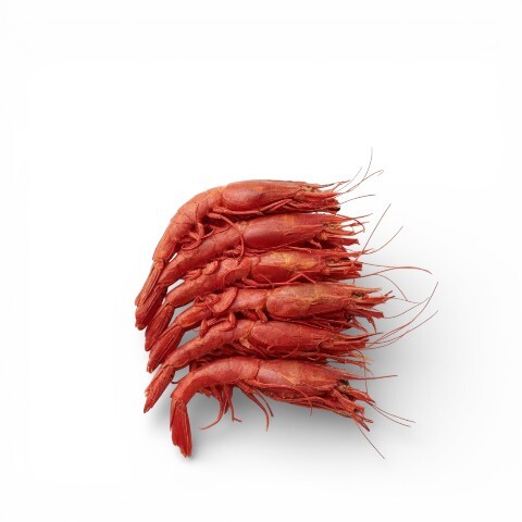 Frozen Wild Carabineros Prawns from Mozambique