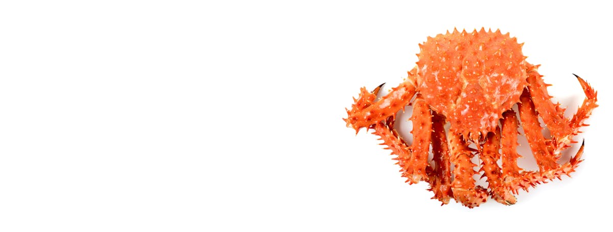 New Live Alaskan Kng Crab Hero