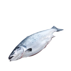 Fresh Norwegian Salmon (Sashimi Grade)