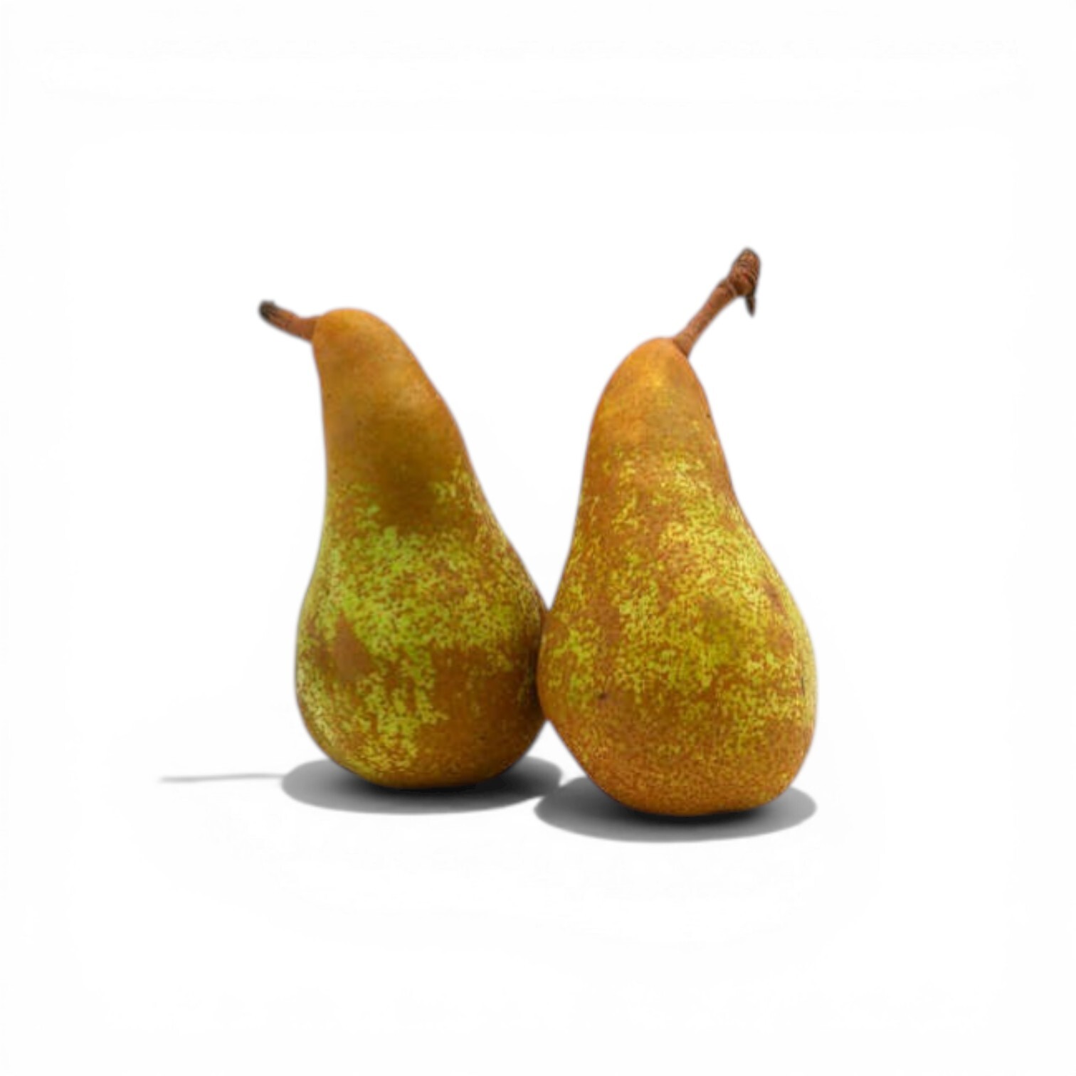 Conference Pears