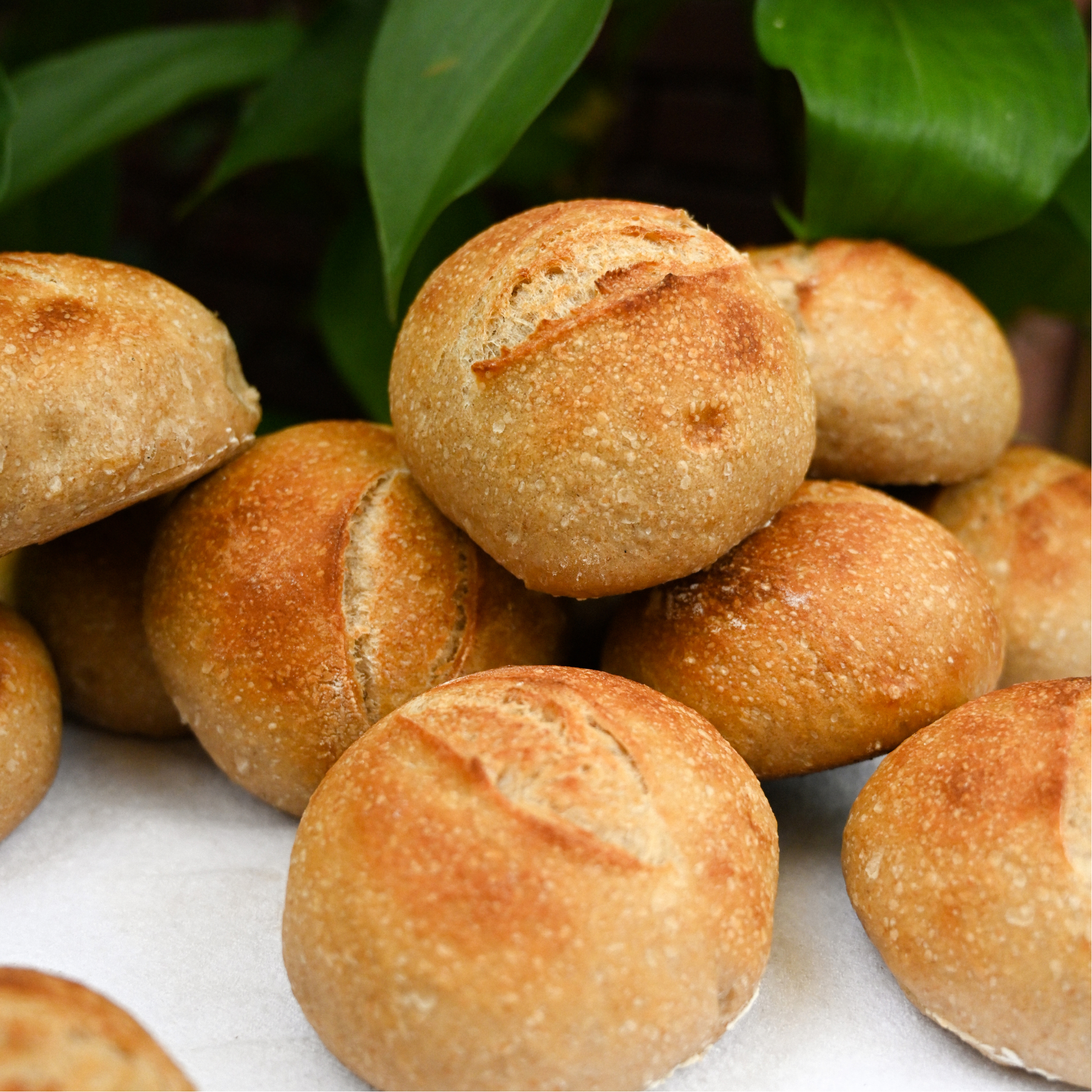 Thumbnail 2 - TPK&B Sourdough Dinner Roll (Petits Pains)