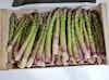 Thumbnail 2 - Fresh Organic Asparagus from France