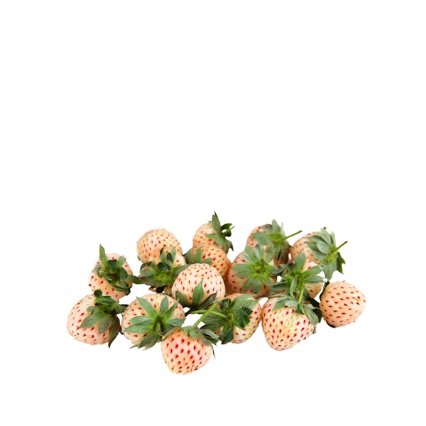 Picture 1 - Pine Berries ( White Strawberries )
