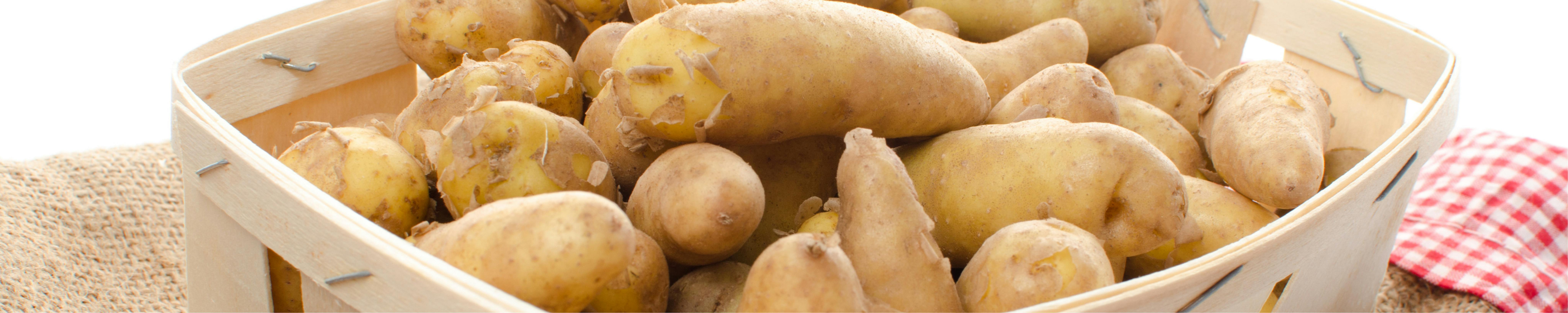 Ratte Grenaille Potatoes from France | 🦆The Bow Tie Duck Manila