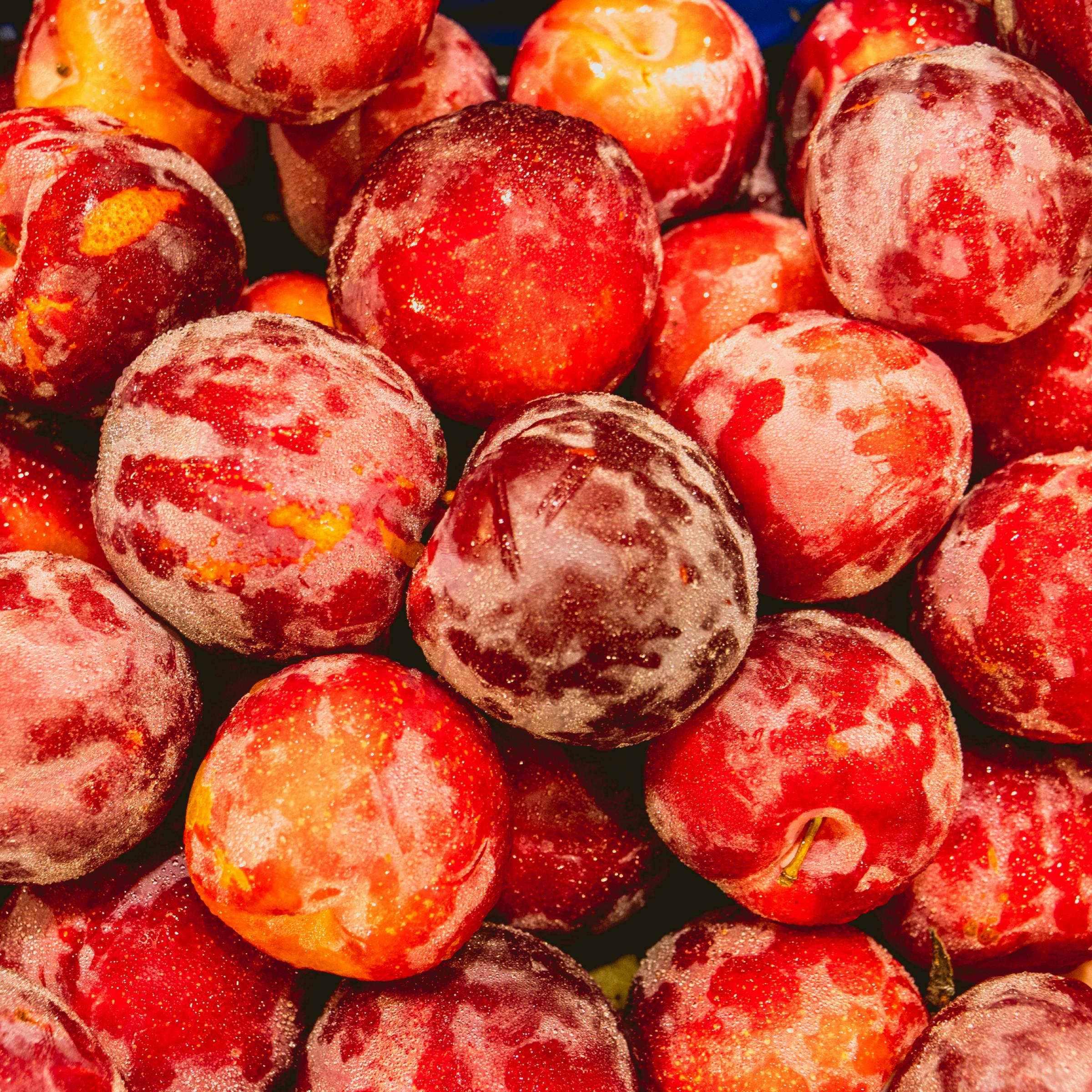 Fresh Yellow and Red Plums (Prunes from France) 🦆The Bow Tie Duck Manila