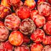 Thumbnail 4 - Fresh Yellow and Red Plums (Prunes from France)