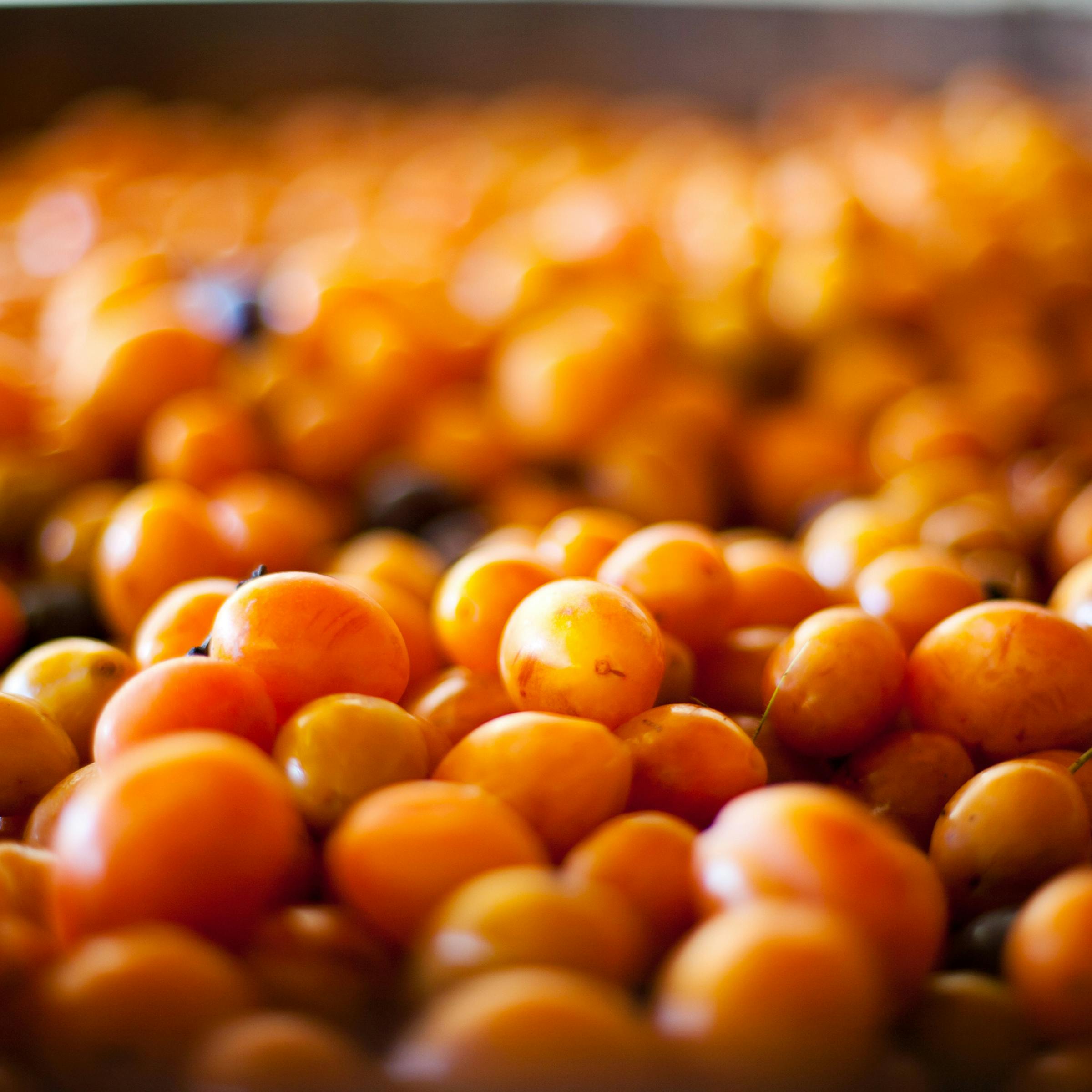 Fresh Yellow and Red Plums (Prunes from France) 🦆The Bow Tie Duck Manila