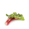 Thumbnail 1 - Fresh Rhubarb from France
