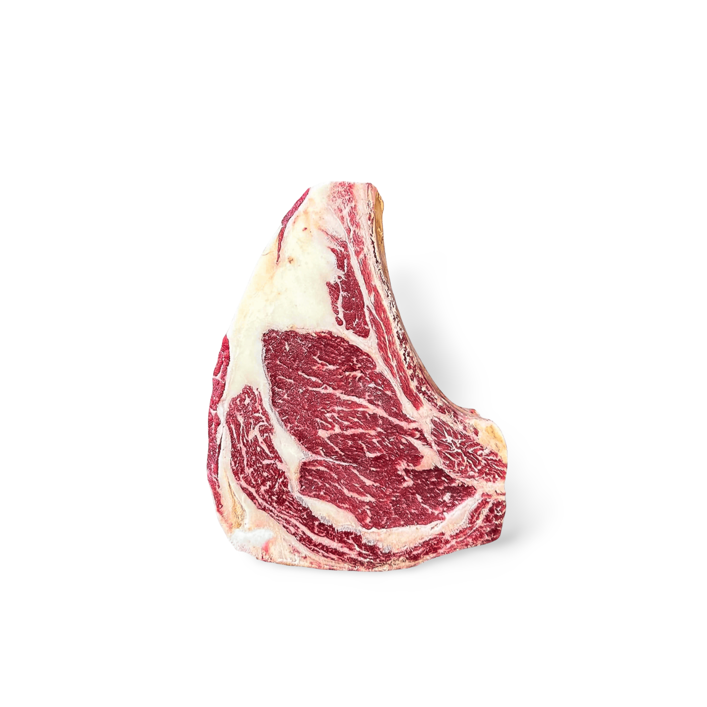 Sashi Sagyu AAA Bone-In Ribeye