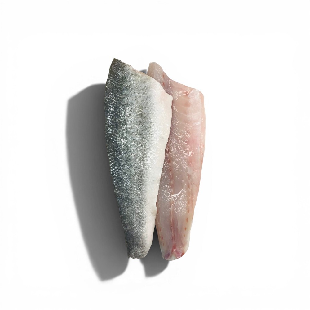 Farmed Sea Bass Fillet