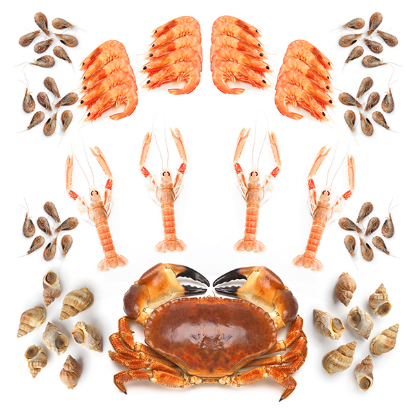 Air-flown Seafood Platter