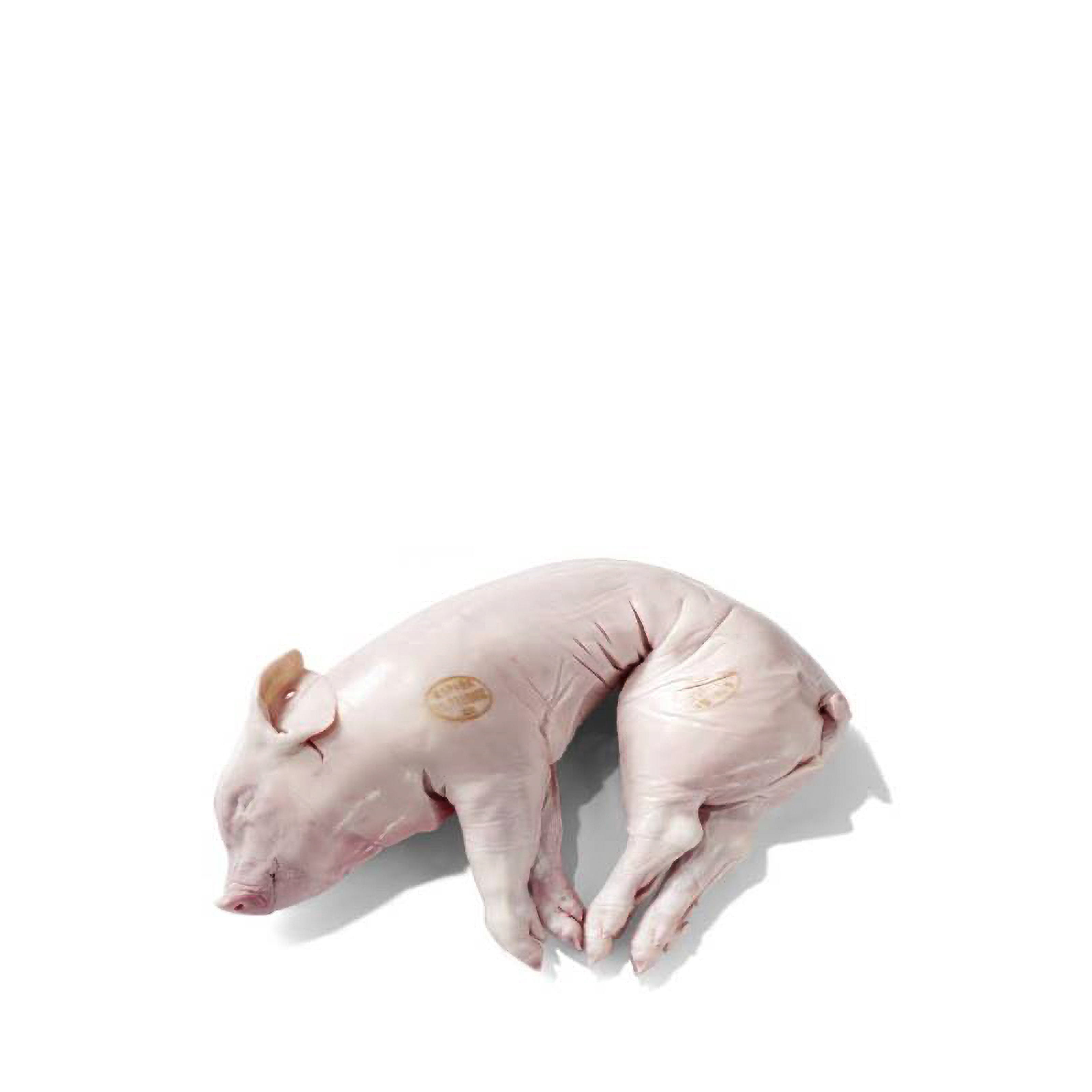 Cochinillo from Segovia D.O., Spain ( Frozen )