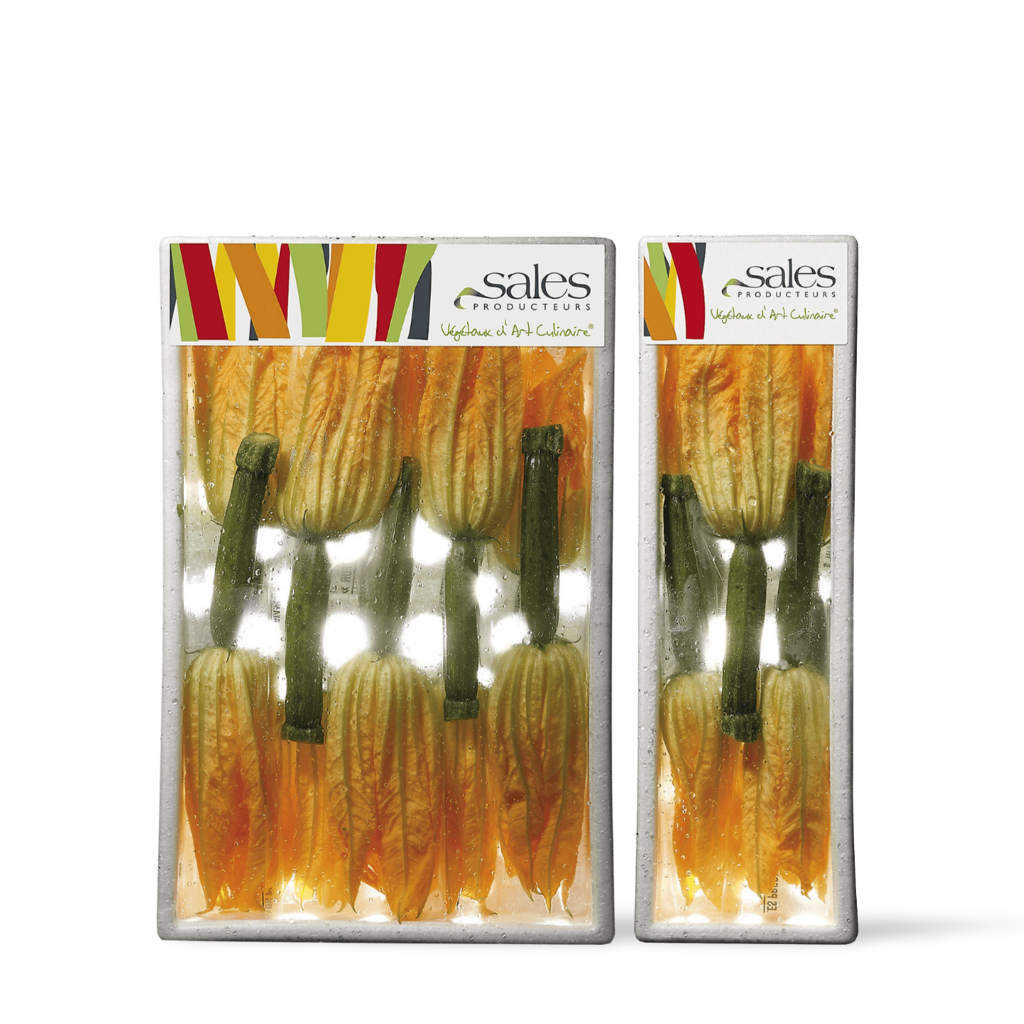 Zucchini Flowers from France