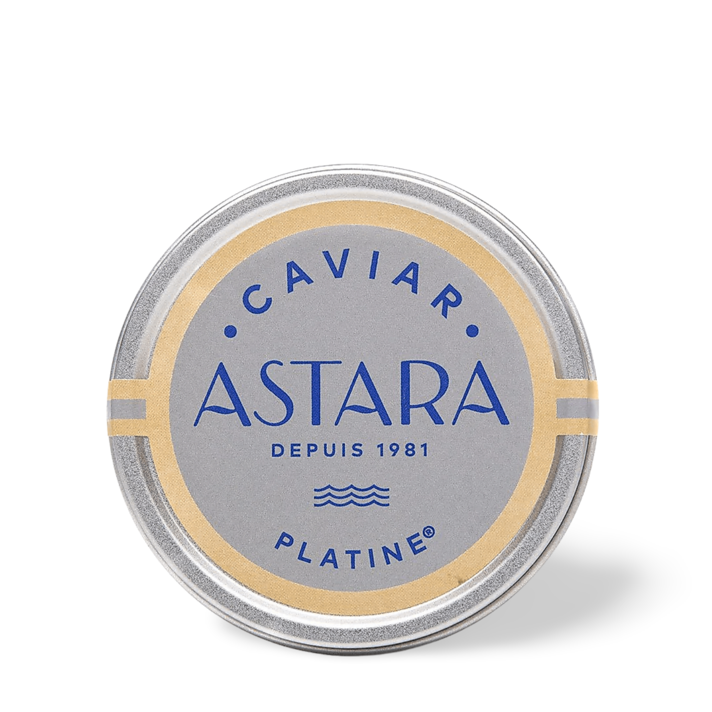 Astara Platine Caviar - Shrenkii x Dauricus