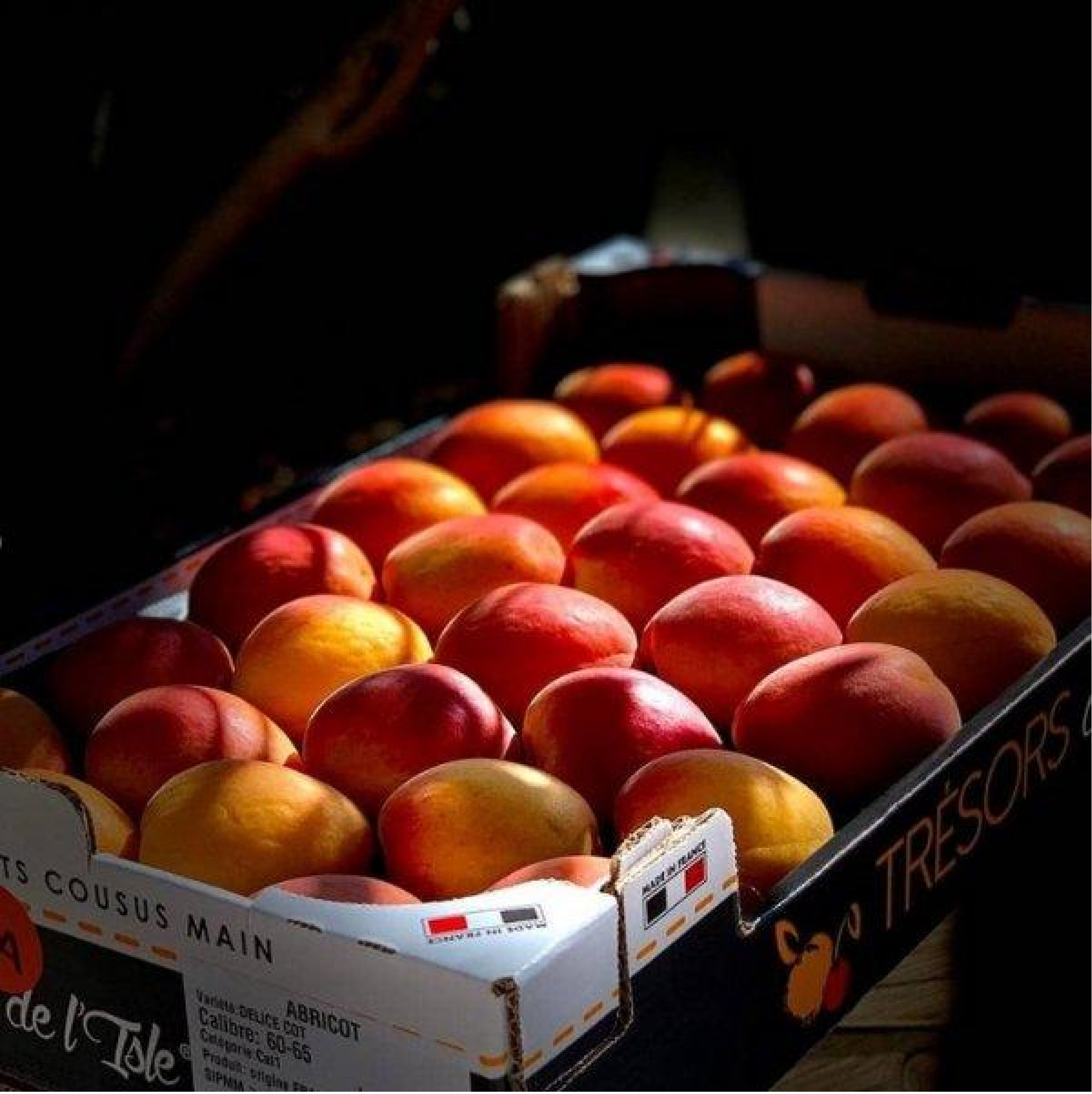 Thumbnail 2 - Apricot Chambertine