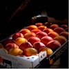 Thumbnail 2 - Apricot Chambertine