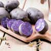 Thumbnail 3 - Potatoes Vitelotte (Purple Potatoes)