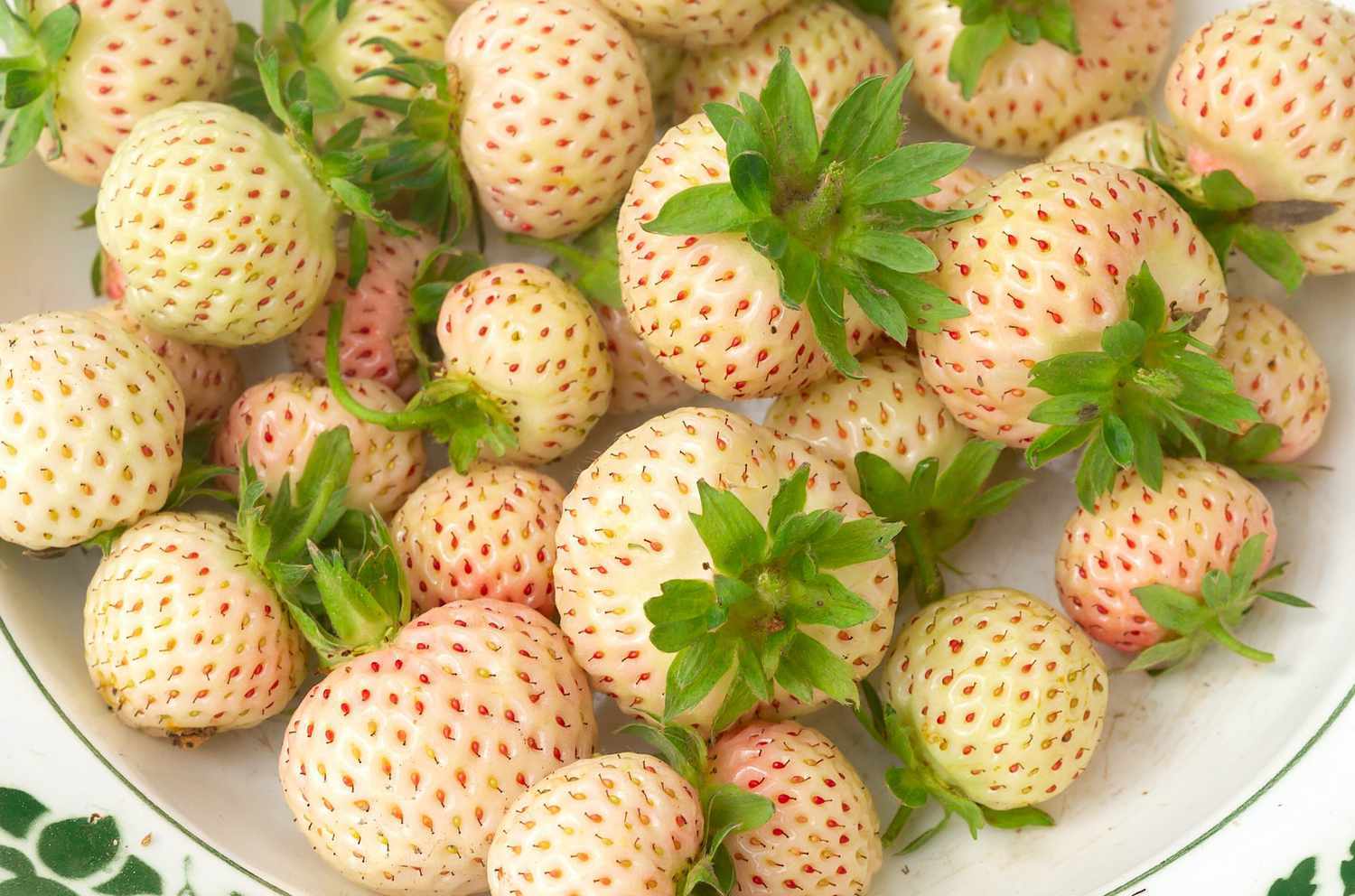 Thumbnail 4 - Beekers Berries Pineberries ( White Strawberries )
