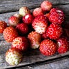 Thumbnail 2 - Wild Strawberries
