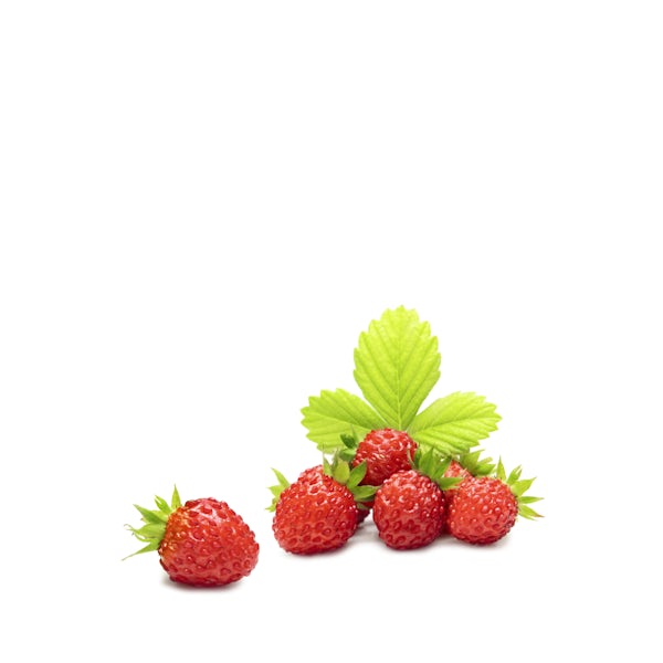 Picture 1 - Wild Strawberries