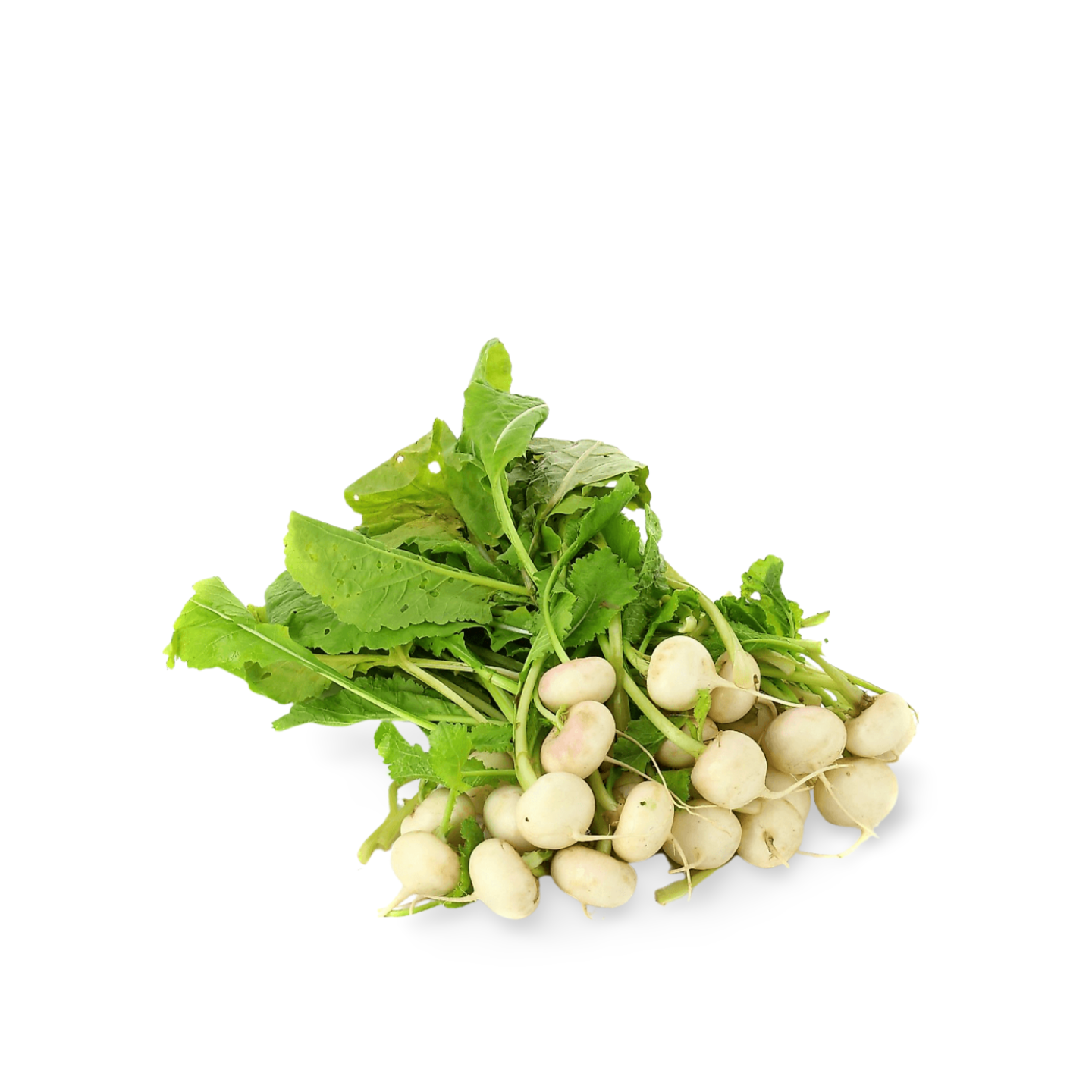 Baby Turnips from France